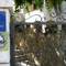 Отель NINA VILLA (Bol)
