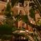 Отель Riad Villa Blanche