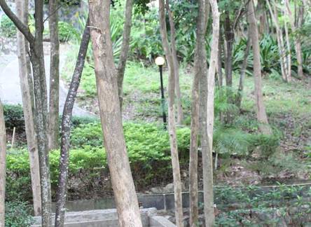 Отель Baan Suan Sook Resort
