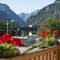 Отель Chalet du Lys (Gressoney-la-Trinite)