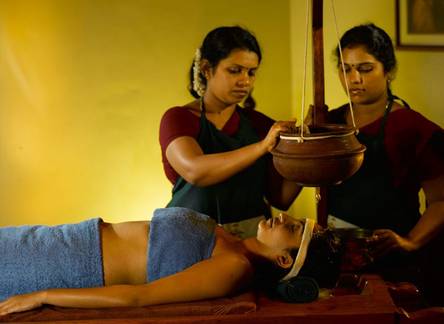 Отель ShinShiva Ayurvedashram