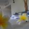 Отель Diver's Lodge Guest House