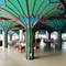 Отель Peacock Beach Resort and Spa