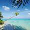 Отель Diamonds Athuruga Beach & Water Villas