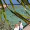 Отель Three Corners Happy Life Beach Resort
