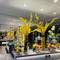 Отель Southern Airlines Pearl Hotel
