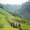 Отель Ubud Green