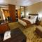 Отель The Grand New Delhi