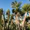 Отель Sentido Akassia Beach