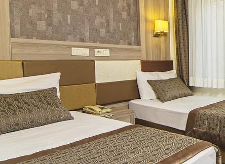 Отель Arya Hotel