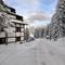 Отель Srebrna Lisica Hotel, Kopaonik