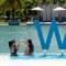 Отель The Waters Khao Lak by Katathani
