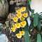 Отель Coco Resort