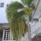Отель Islands Stay Hotels Mactan, Lapu Lapu