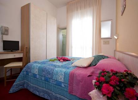 Отель Hotel Silvie Rose