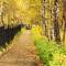 Отель Boarding house Rus