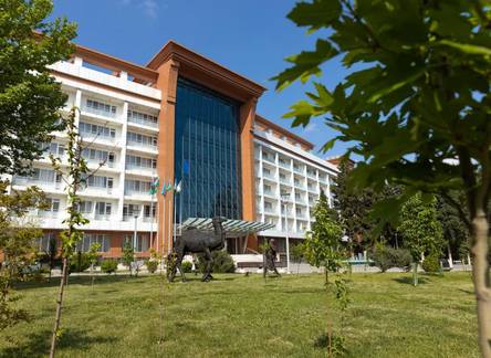 Отель Chinar Hotel & SPA Naftalan