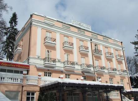 Отель Hotel Vila Aleksandar, Vrnjacka Banja