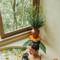 Отель The Kayon Resort