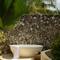 Отель Zanzibar White Sand Luxury Villas & Spa