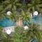 Отель Alaya Resort Ubud