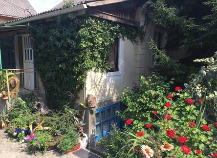 Отель Guest House Grusheviy Dom