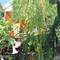 Отель Azanta Guest House