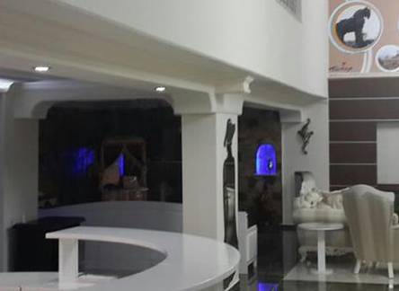 Отель Ayseli Hotel