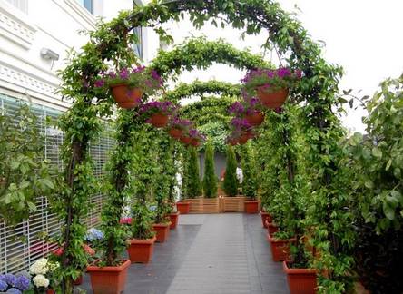 Отель Malta Bosphorus Hotel