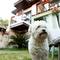 Отель The Suite Apart Hotel