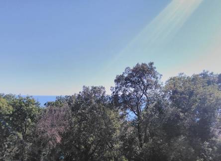 Отель Guest house U Grishi