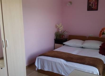 Отель Guest house berendei2000
