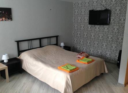 Отель Apartment on Krasnoarmeyskaya 76