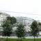 Отель Bon Voyage Hotel