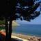 Отель Pine Beach Boutique Hotel