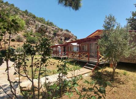 Отель Calba Hause