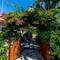 Отель Palmetto Resort Hotel Selimiye