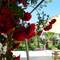 Отель Meridia Beach Hotel
