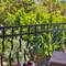 Отель Bossa Nova Apart Hotel