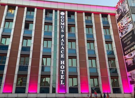 Отель Gumus Palas Hotel