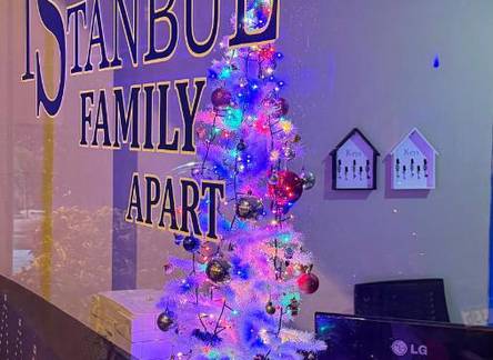 Отель Istanbul Family Apartments