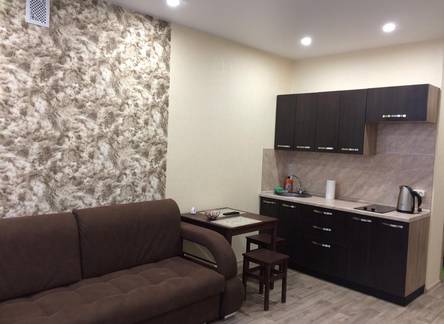 Отель Apartment Ujutnaya studia dlya priyatnyh gostey
