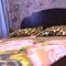 Отель Apartments on Raisa Belyaeva 76