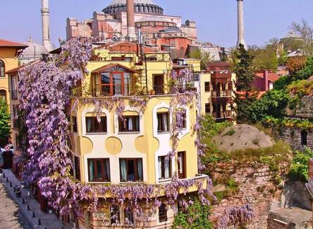 Отель Hotel Empress Zoe