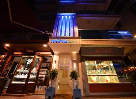 Отель Minu Hotel