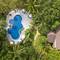 Отель Paradise Beach Resort
