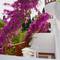 Отель Natur Garden Hotel