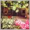 Отель Sahin Guest House