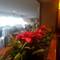 Отель Buyukhanli Park Hotel