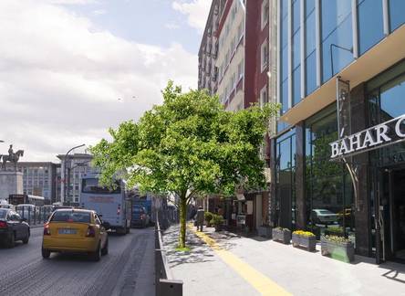 Отель Yeni Bahar Otel